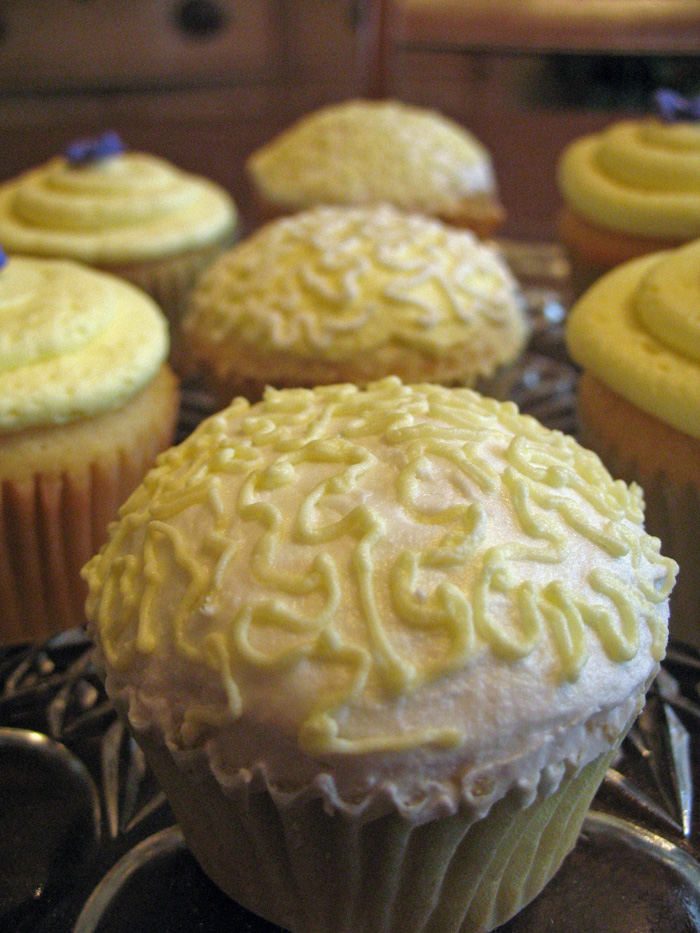 Cornelli Lace Cupcakes
