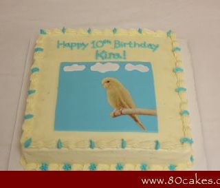Parakeet Cake